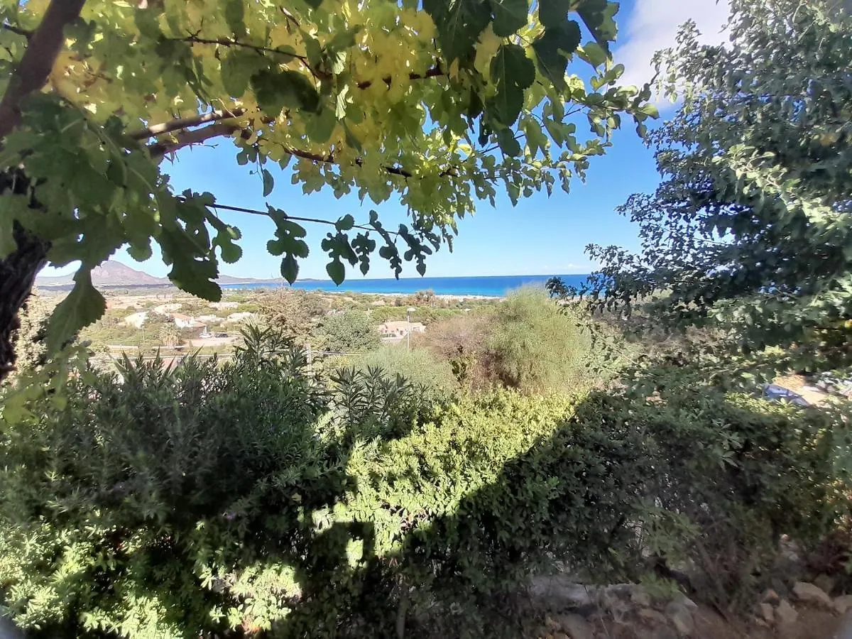 Nuova Valmar 